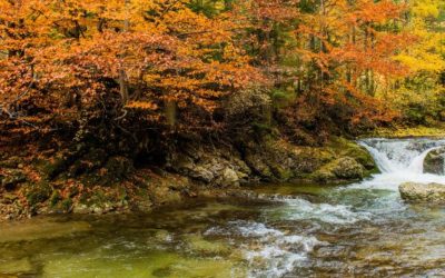 Fall Foliage Places to Visit in the US