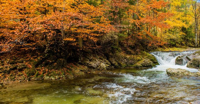 Fall Foliage Places to Visit in the US