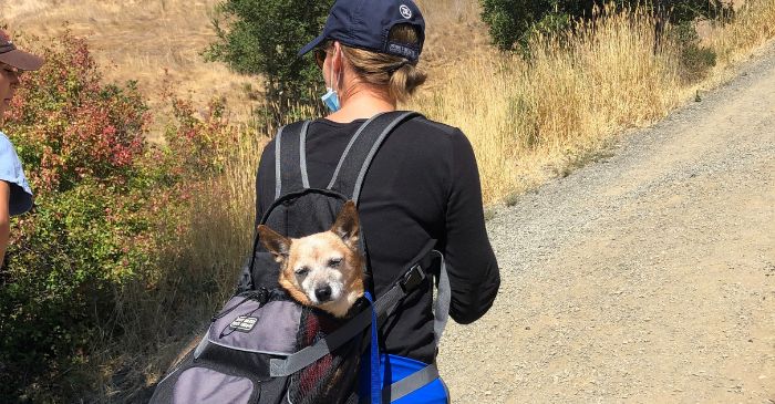 KC & Jake Hiking