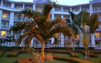 Affordable Luxury Hotels