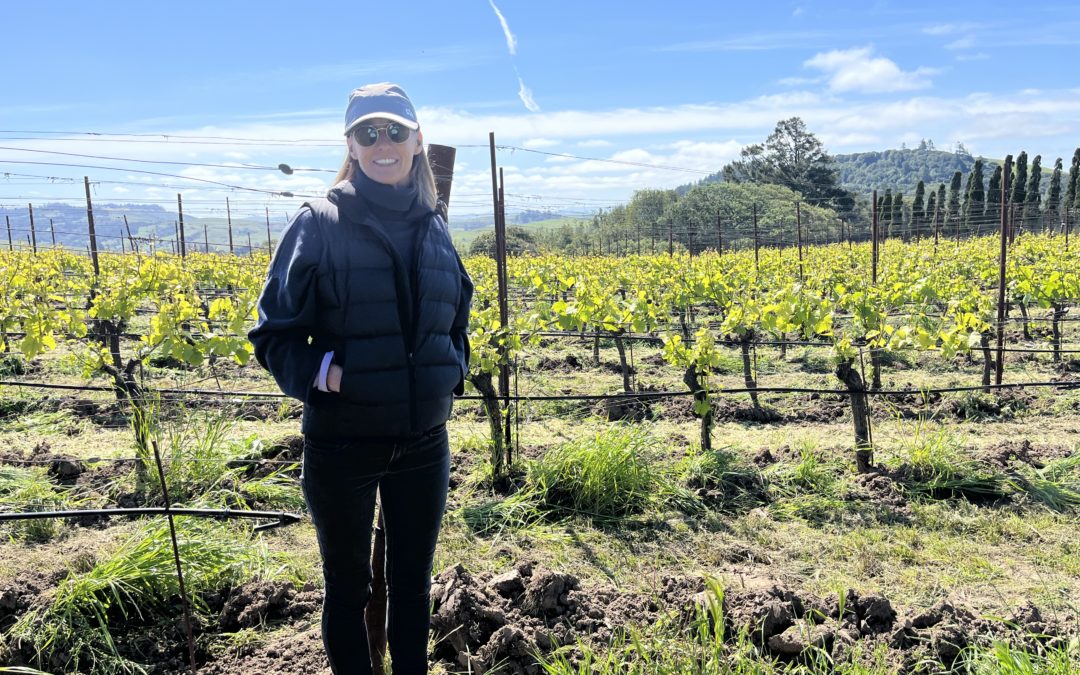 US Wine Country Travel Destinations